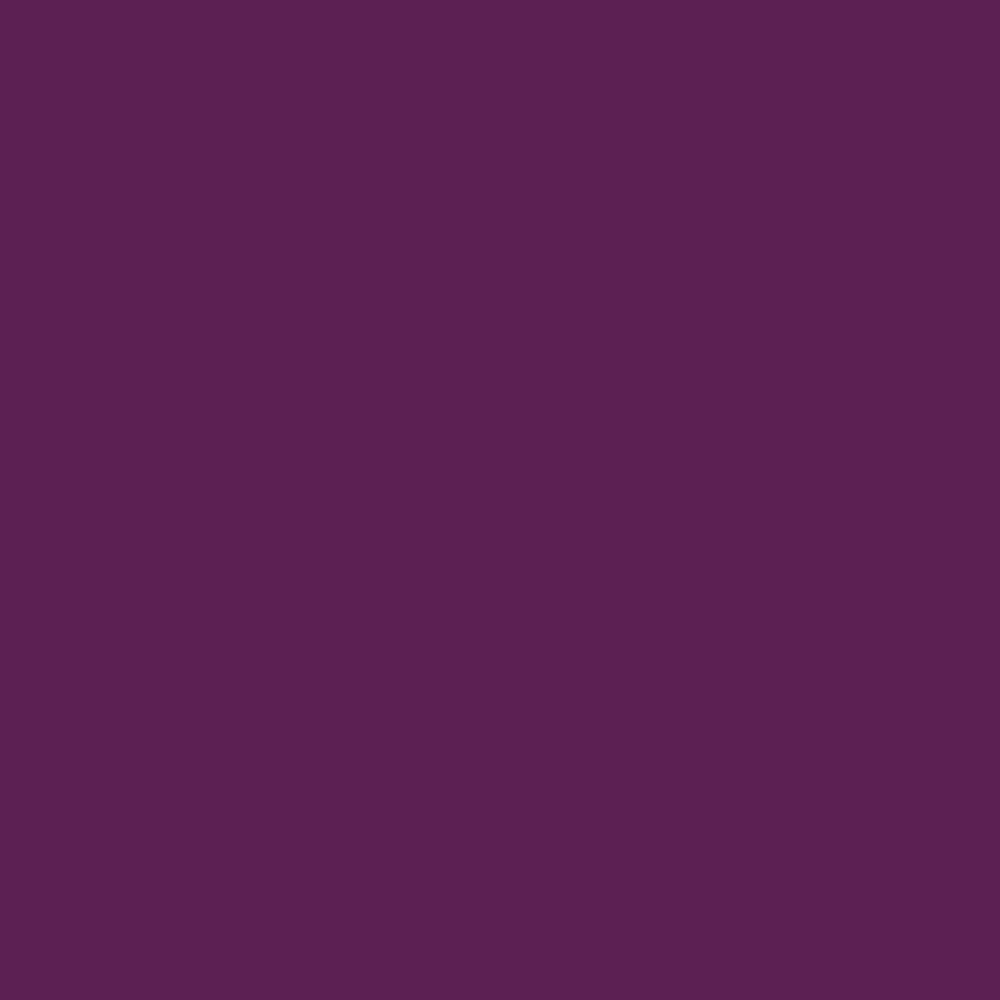 6018 | Super High Gloss UV Solid Royal Plum