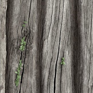 7016 Wood Grain
